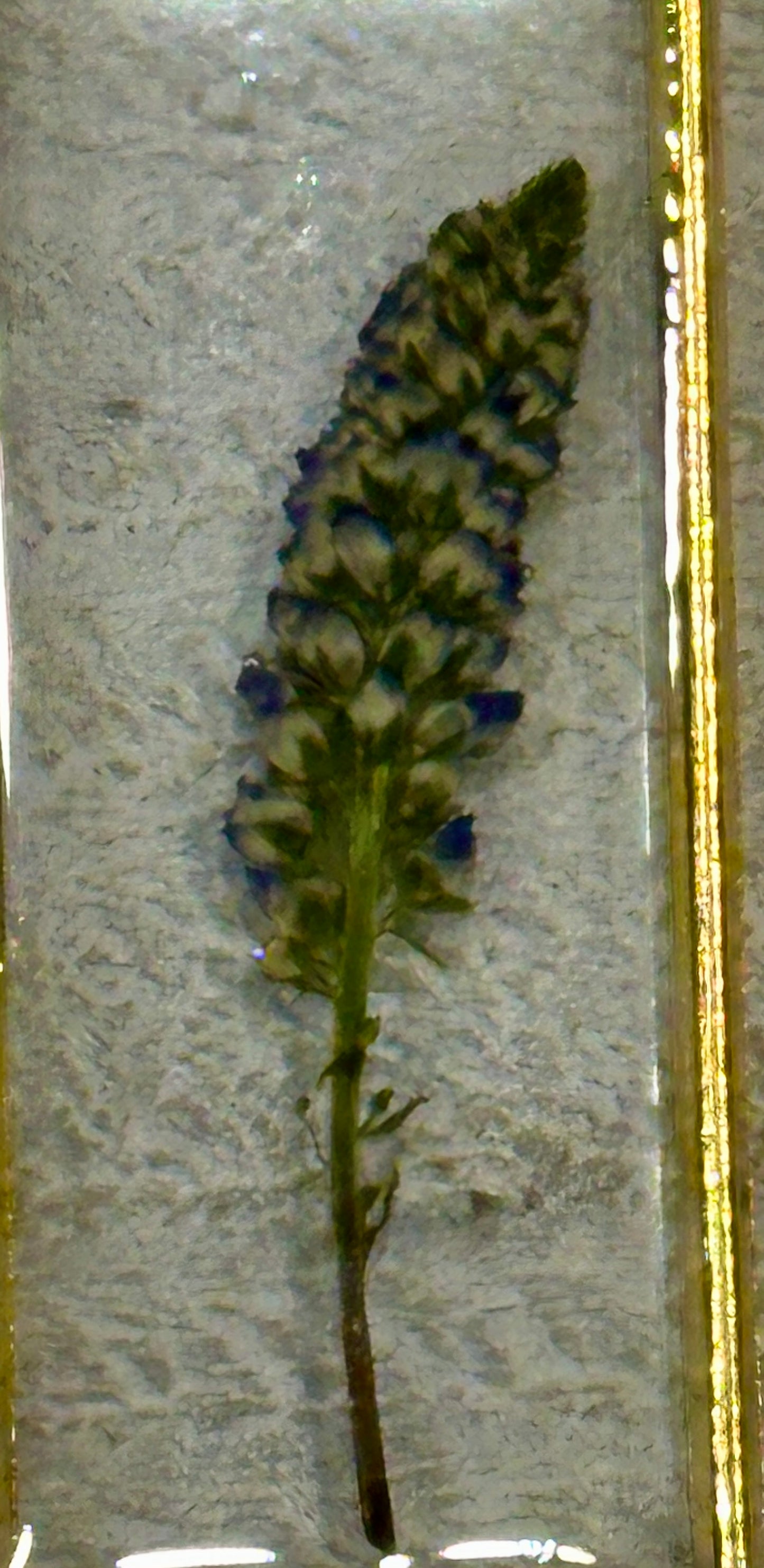 Mini Bluebonnet Flower Pendant